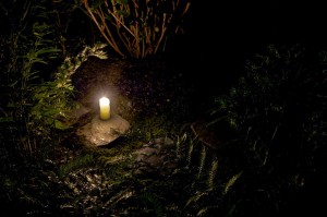 rinn-test09 rinn-test09